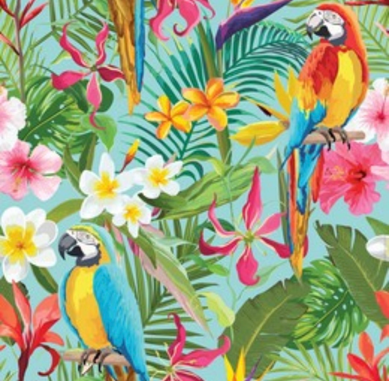 Gonna Malu’ raso di cotone Curvy PARROTS