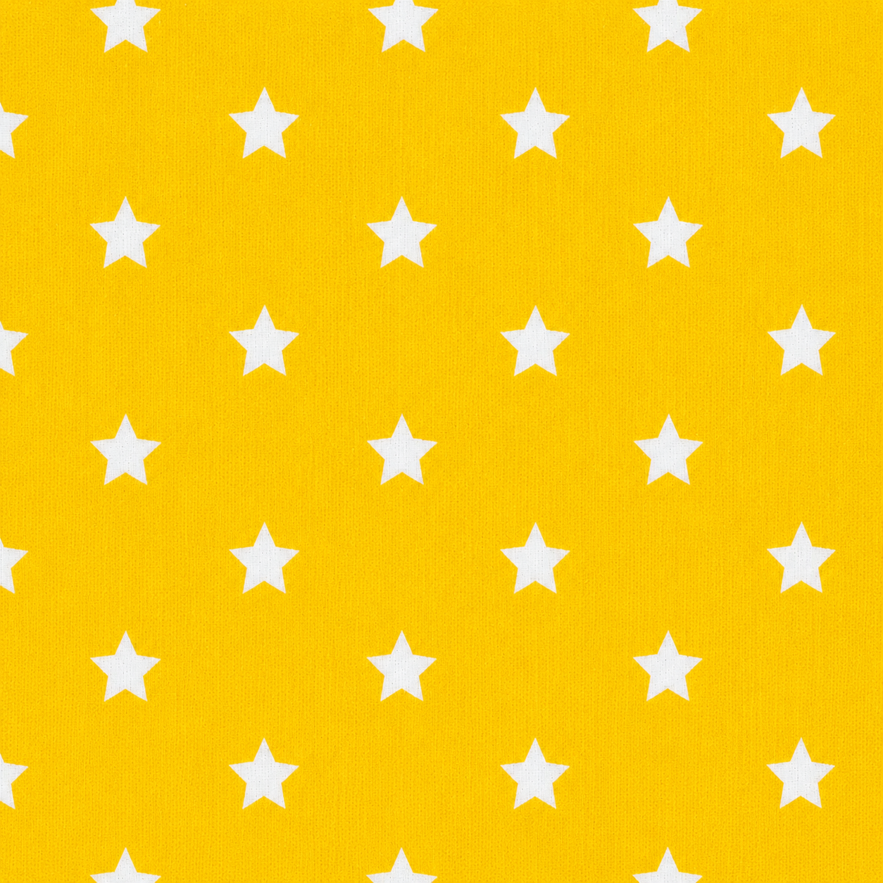 Gonna e Top Franci Polvere di Stelle