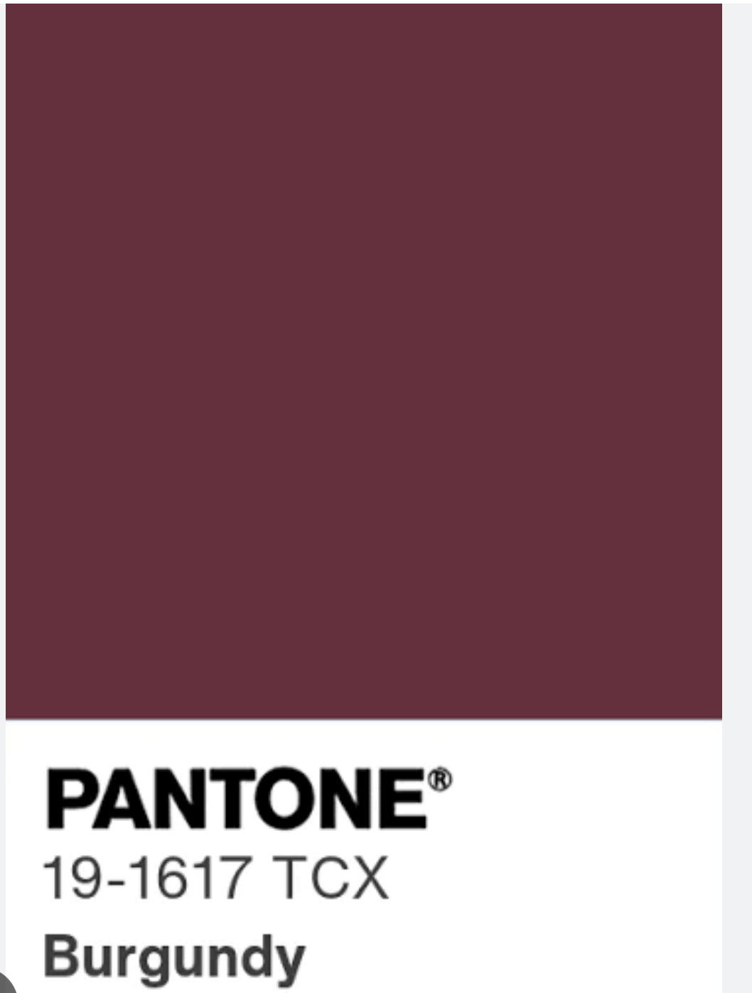 Gonna Valentina Tessuto Satin Cinghie Bordeaux