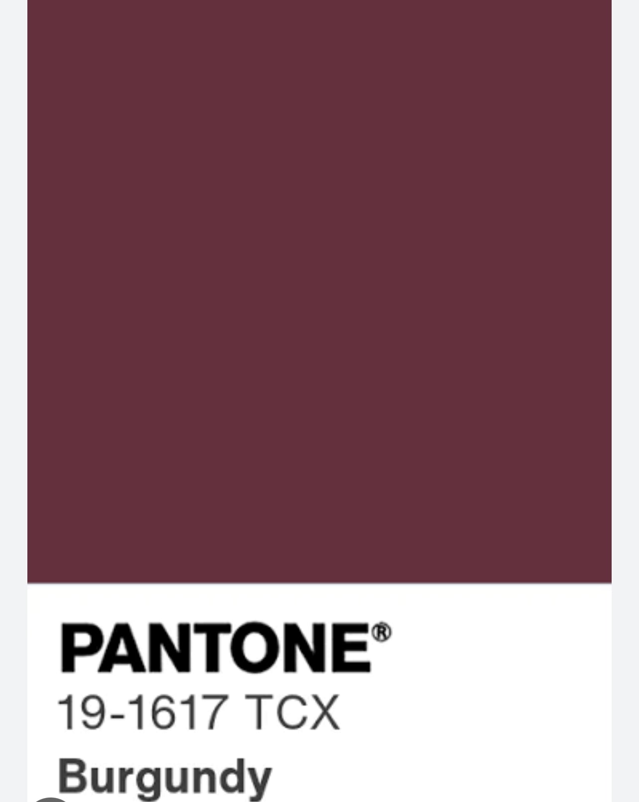 Gonna Valentina Foglie Burgundy