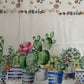 Gonna Trompe-l’oeil cactus
